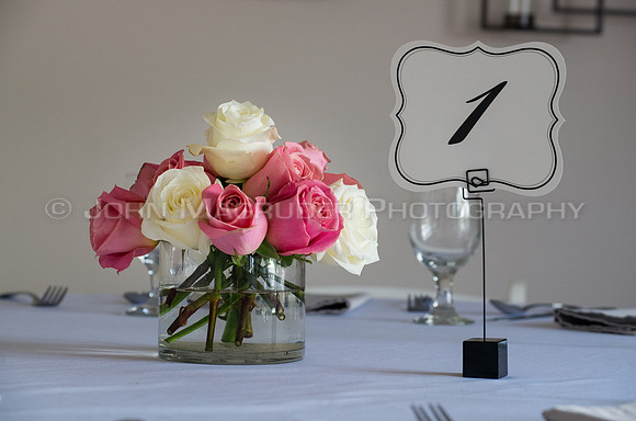 Erin-David-Wedding-340