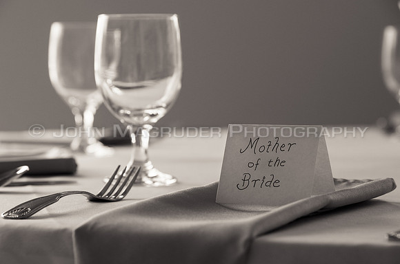 Erin-David-Wedding-338